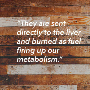 fire up your metabolism