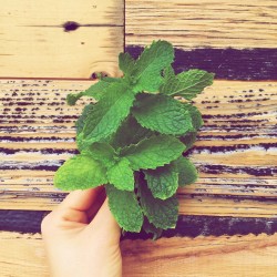 Mint Remedy functional food