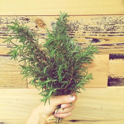rosemary functional food for healing