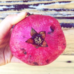 Pomegranate functional food antioxidant